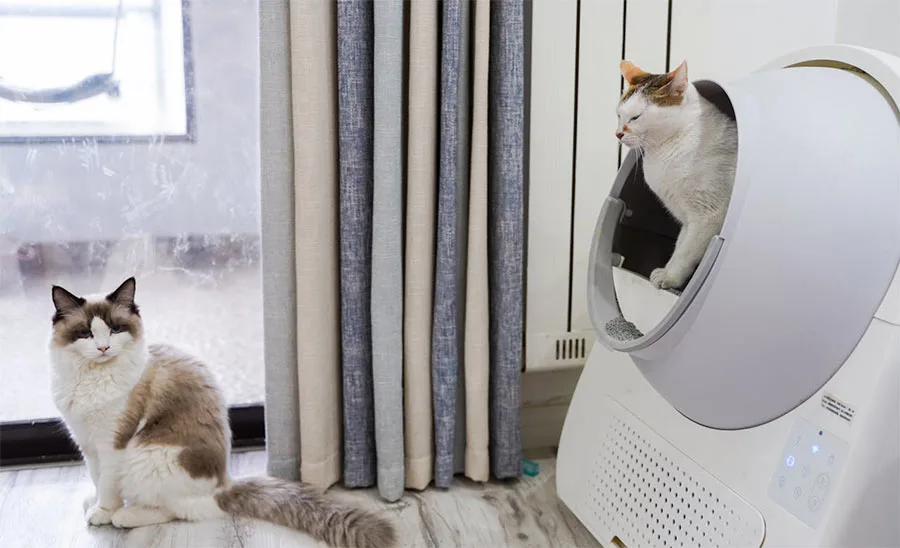 Tecnolgia para cuidar tu gato indoor